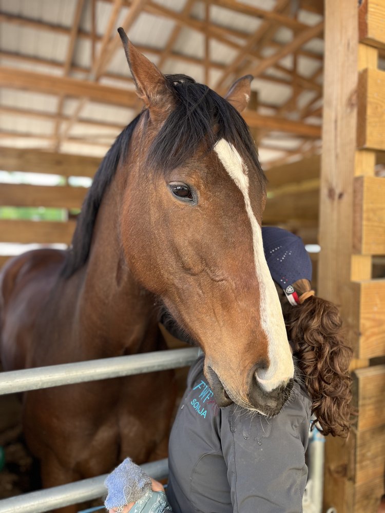 Val, Sonja’s horse